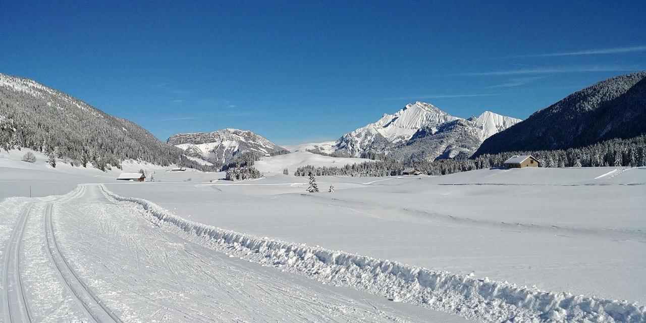 Gite Les Lanfiannes Thorens-Glières Εξωτερικό φωτογραφία