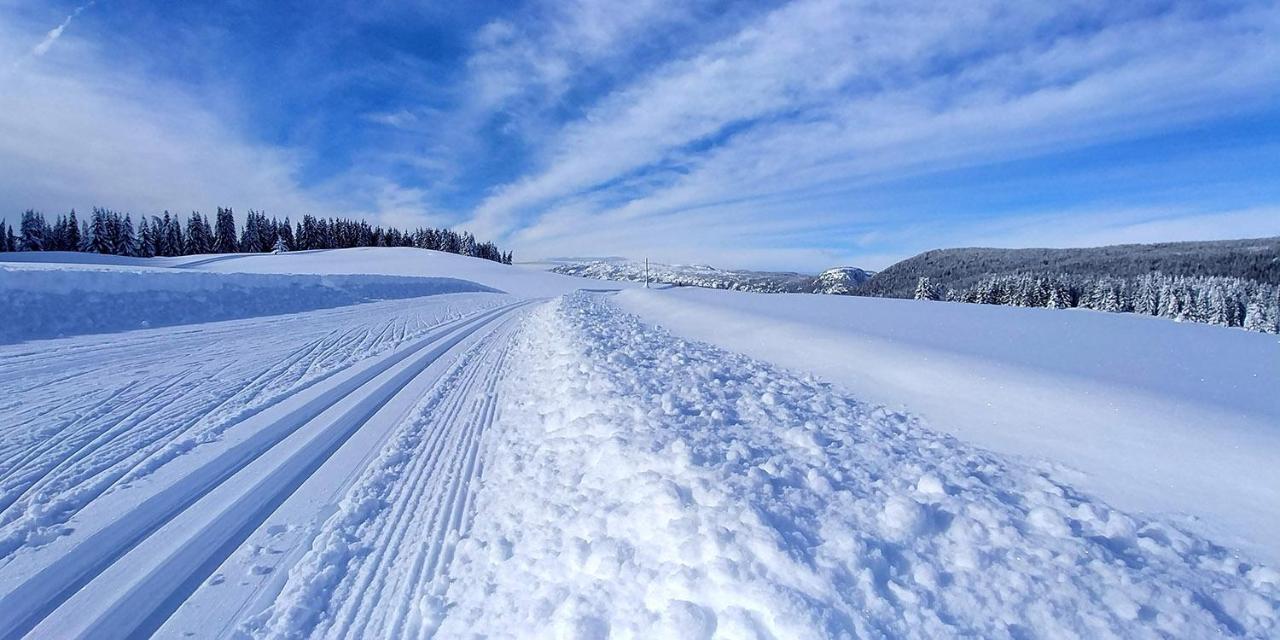 Gite Les Lanfiannes Thorens-Glières Εξωτερικό φωτογραφία