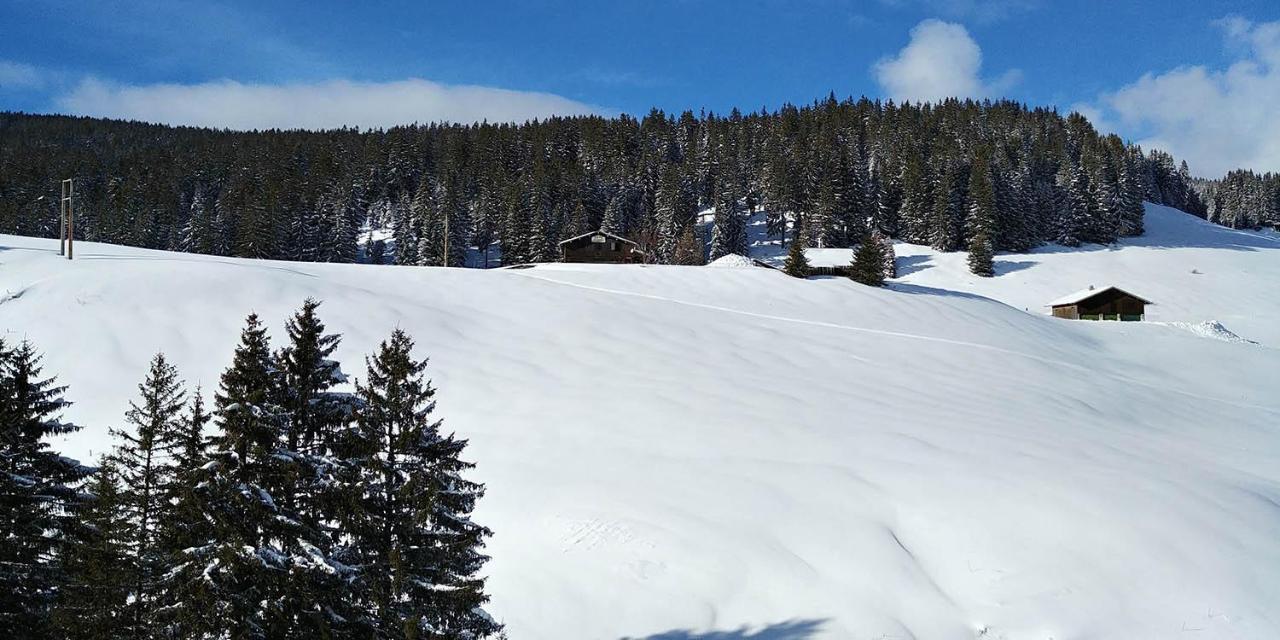 Gite Les Lanfiannes Thorens-Glières Εξωτερικό φωτογραφία