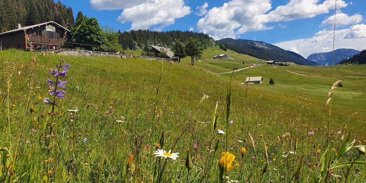 Gite Les Lanfiannes Thorens-Glières Εξωτερικό φωτογραφία