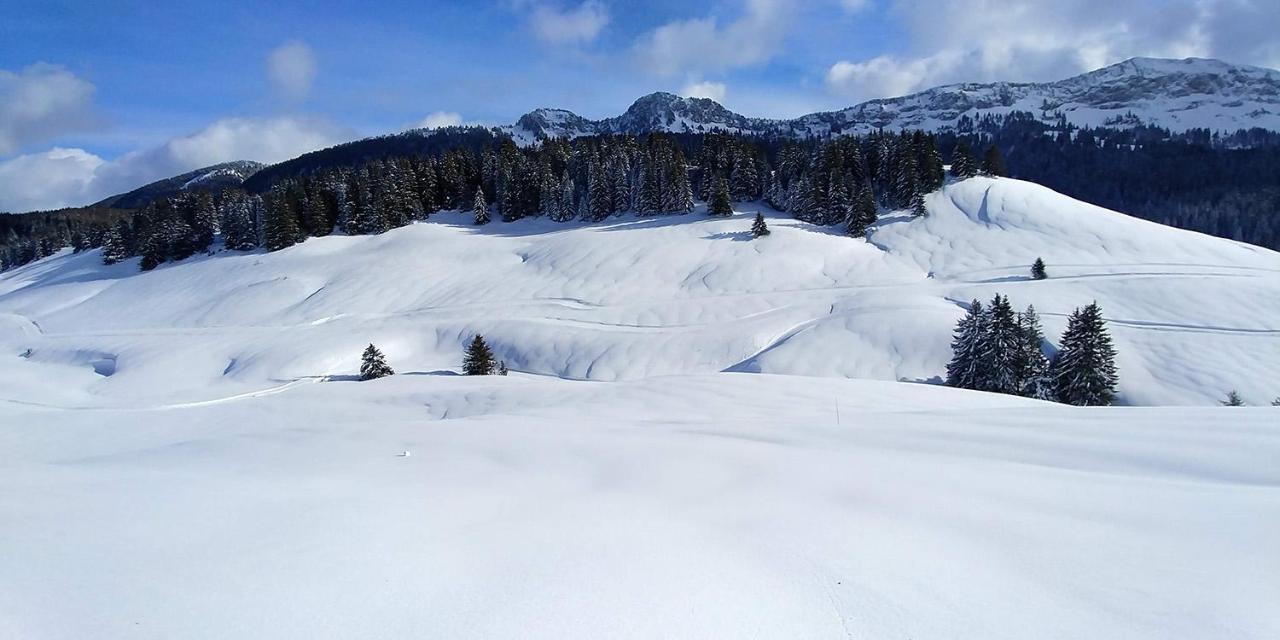 Gite Les Lanfiannes Thorens-Glières Εξωτερικό φωτογραφία