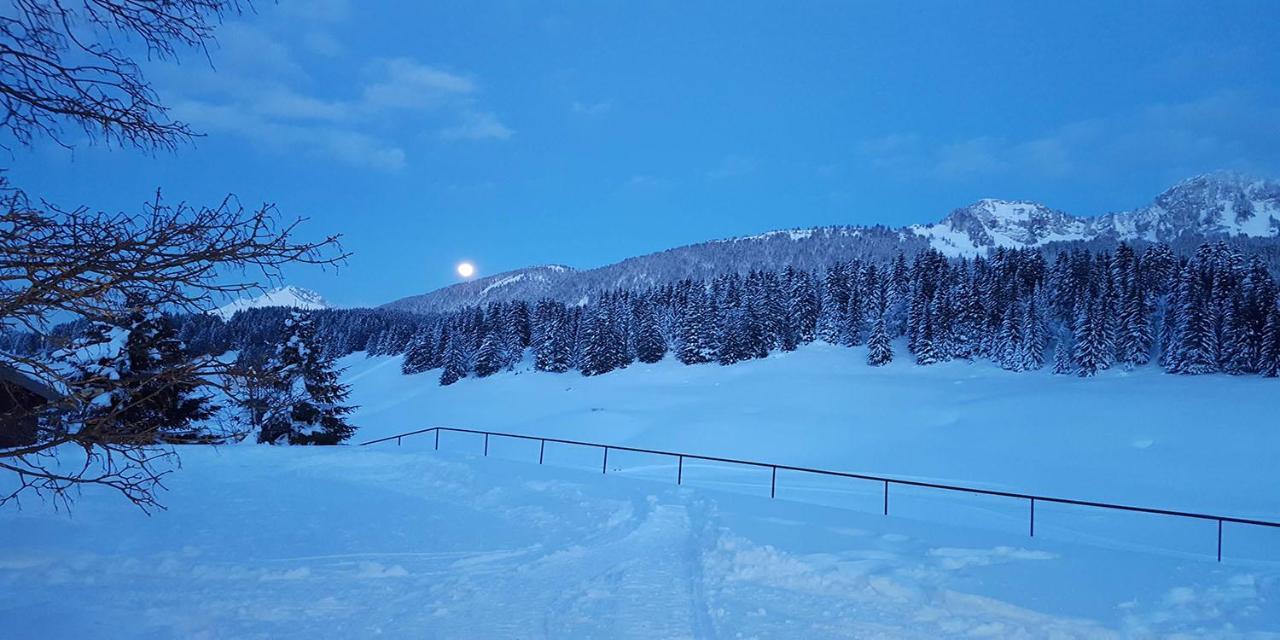 Gite Les Lanfiannes Thorens-Glières Εξωτερικό φωτογραφία