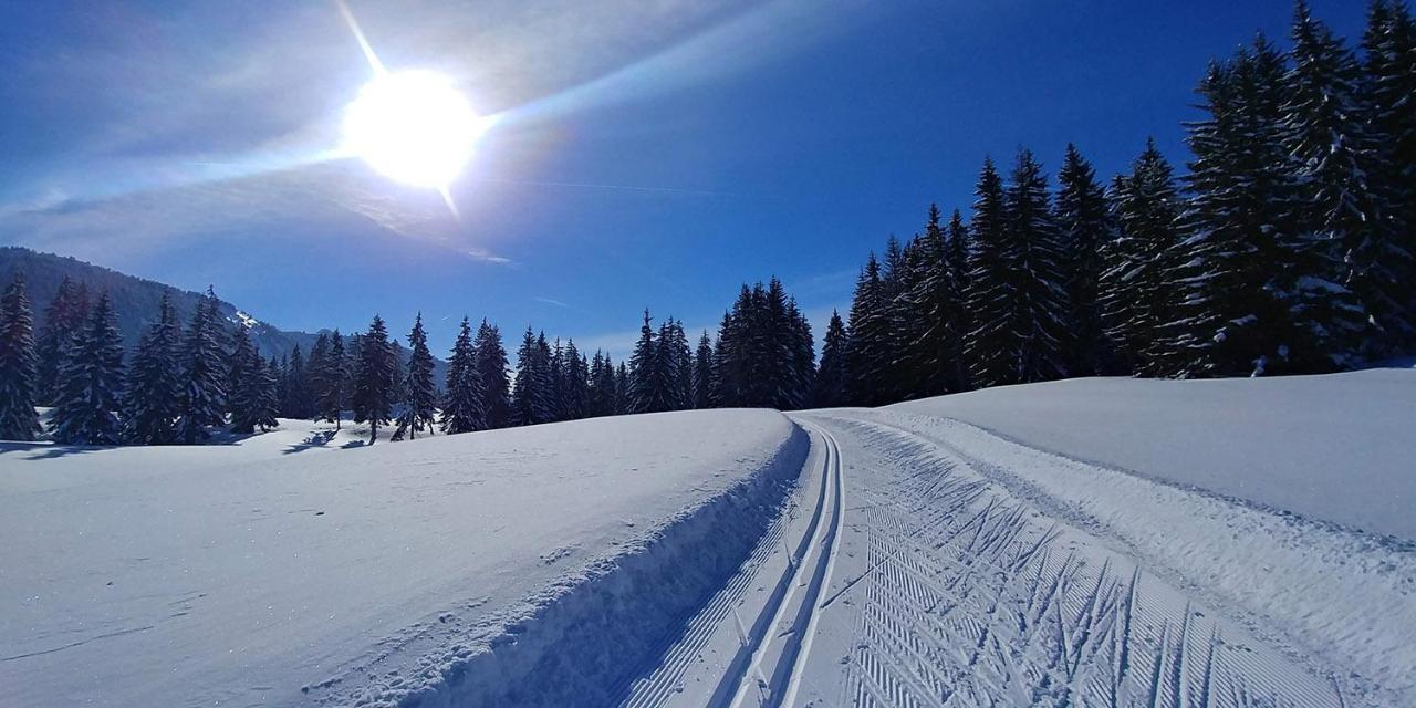 Gite Les Lanfiannes Thorens-Glières Εξωτερικό φωτογραφία